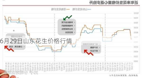 2024年12月 第1332页