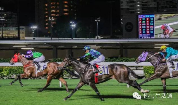 香港最准马会资料免费,香港最准马会资料免费，探索赛马世界的秘密