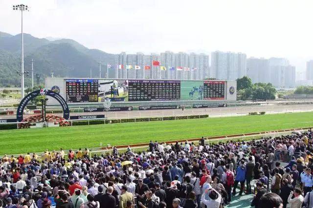 香港2024最准马资料免费,香港2024最准马资料免费，探索赛马运动的魅力与最新资讯