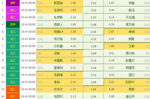 一码一肖100准正版资料,揭秘一码一肖，探索正版资料的精准世界