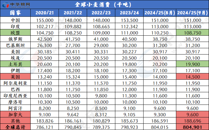 2024新奥历史开奖记录49期,揭秘新奥历史开奖记录，第49期的独特魅力与背后故事（2024年回顾）