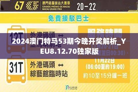 2024年澳门今晚开特马,澳门今晚开特马，探寻未来的幸运与机遇