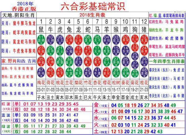 2024新澳门正版免费资料生肖卡,探索新澳门正版免费资料中的生肖卡奥秘——以2024年为观察焦点