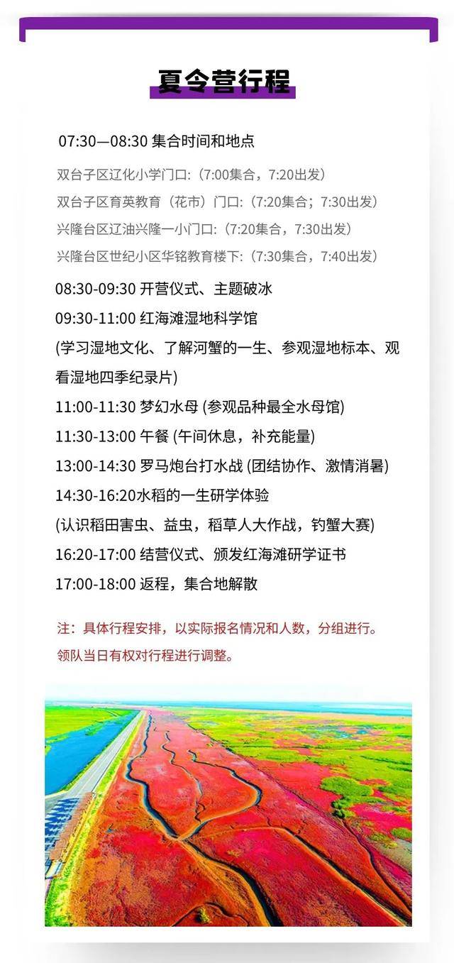 白小姐449999精准一句诗,白小姐449999精准一句诗，探寻智慧与魅力的独特韵味