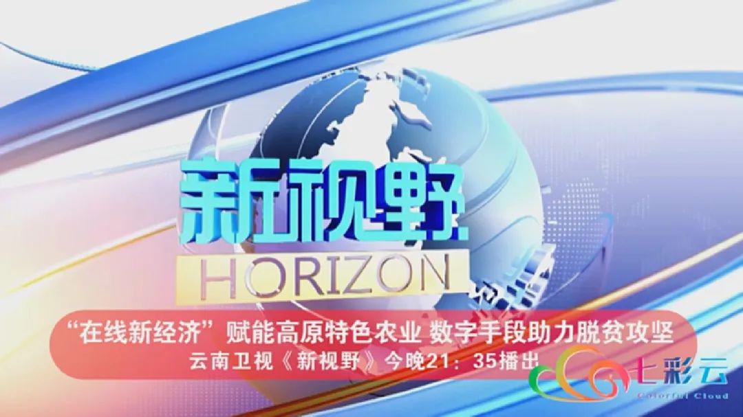 2024澳门今晚开什么生肖,澳门今晚生肖开什么——探寻随机事件背后的文化魅力