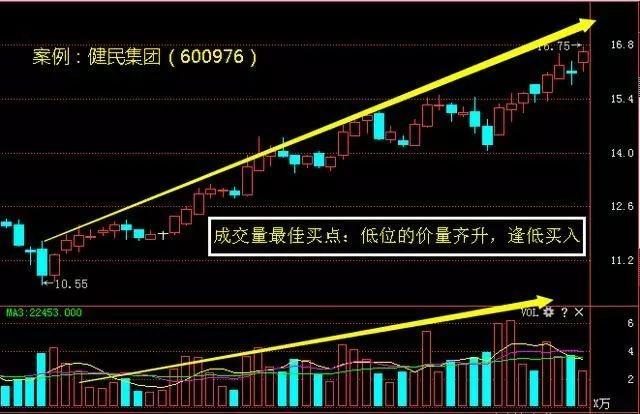 香港今晚开特马 开奖结果66期,香港今晚开特马，第66期开奖结果分析