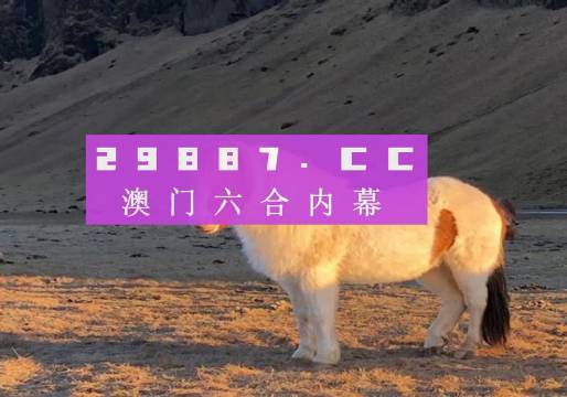 澳门一码100%准确,澳门一码100%准确预测背后的秘密与探索