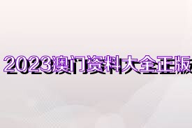 2025香港正版资料大全视频,香港正版资料大全视频，探索未来的趋势与机遇（2025展望）