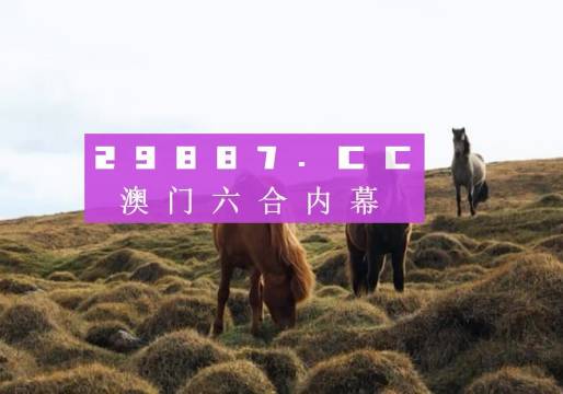 新澳门开奖结果+开奖结果,澳门开奖结果及其影响