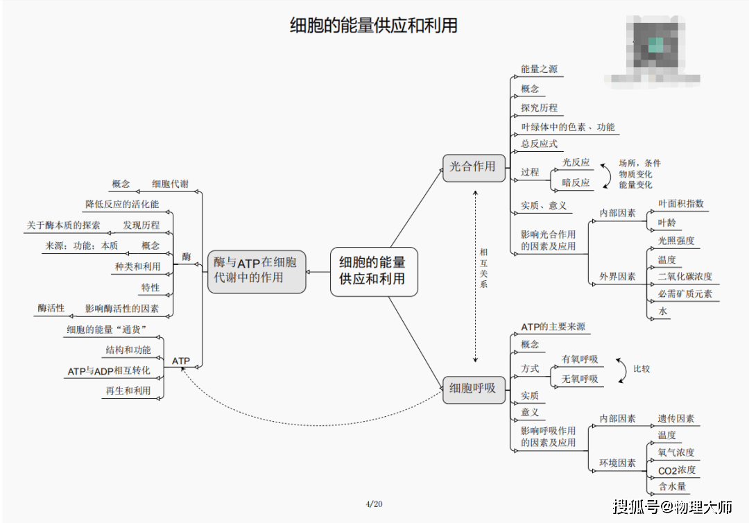 白小姐三肖三期必出一期开奖哩哩,白小姐三肖三期必出一期开奖哩哩——揭秘彩票神话与理性对待